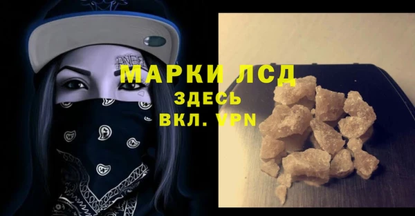 шишки Лабытнанги