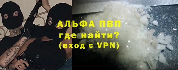 шишки Лабытнанги