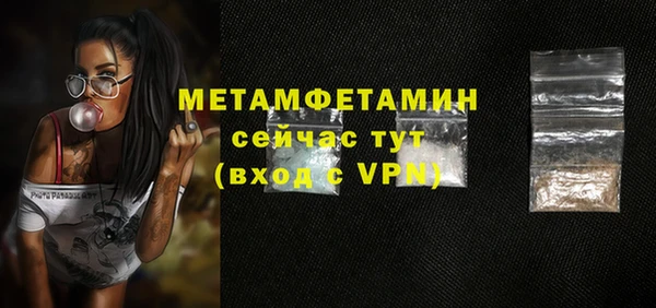 шишки Лабытнанги