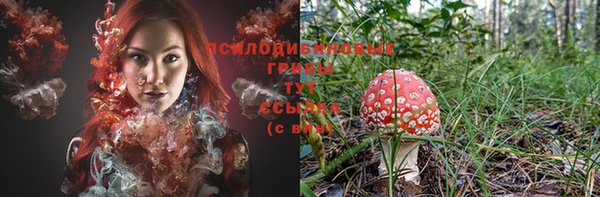 мет Кукмор