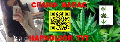 mdpv Кунгур