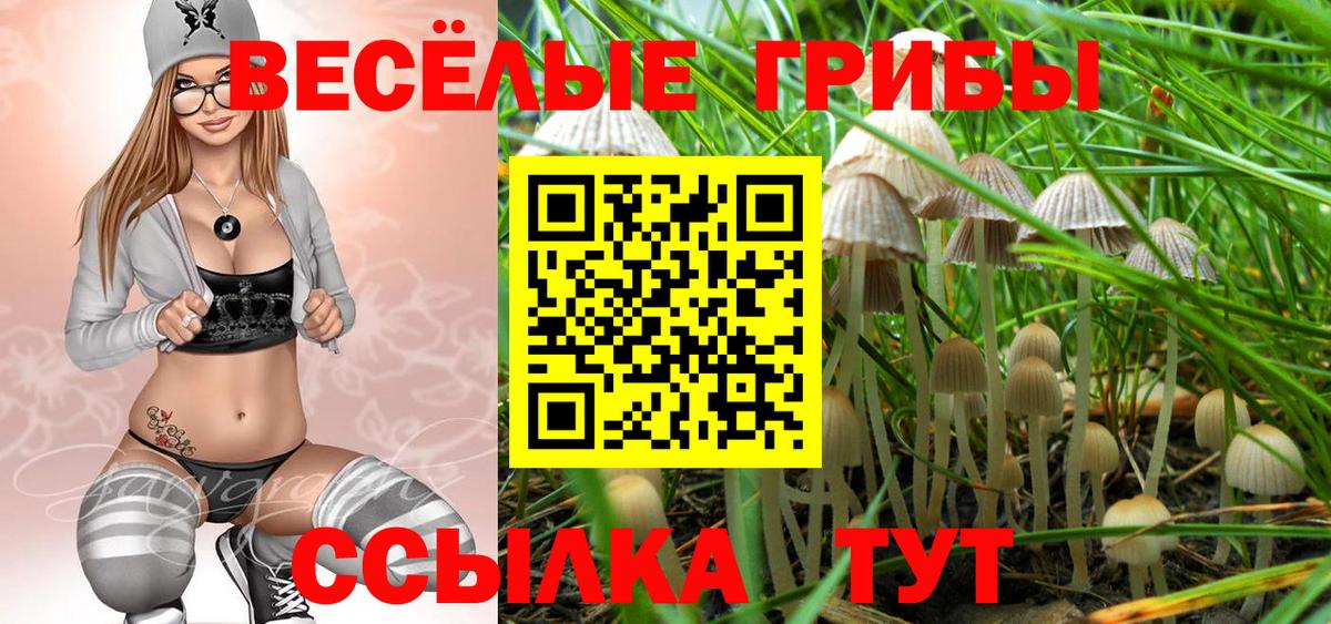 Псилоцибиновые грибы GOLDEN TEACHER Рубцовск