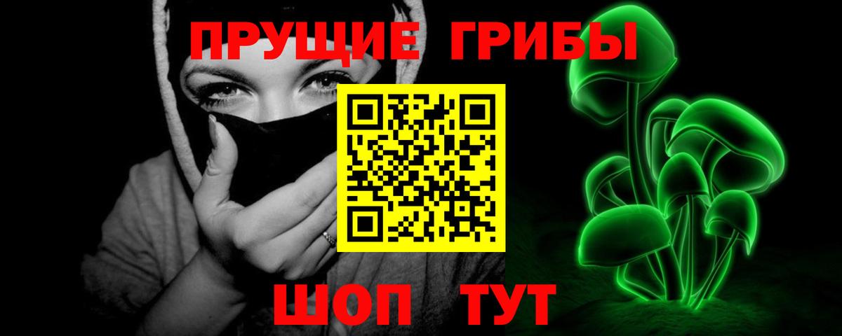 Псилоцибиновые грибы Magic Shrooms  магазин продажи наркотиков  Рубцовск 